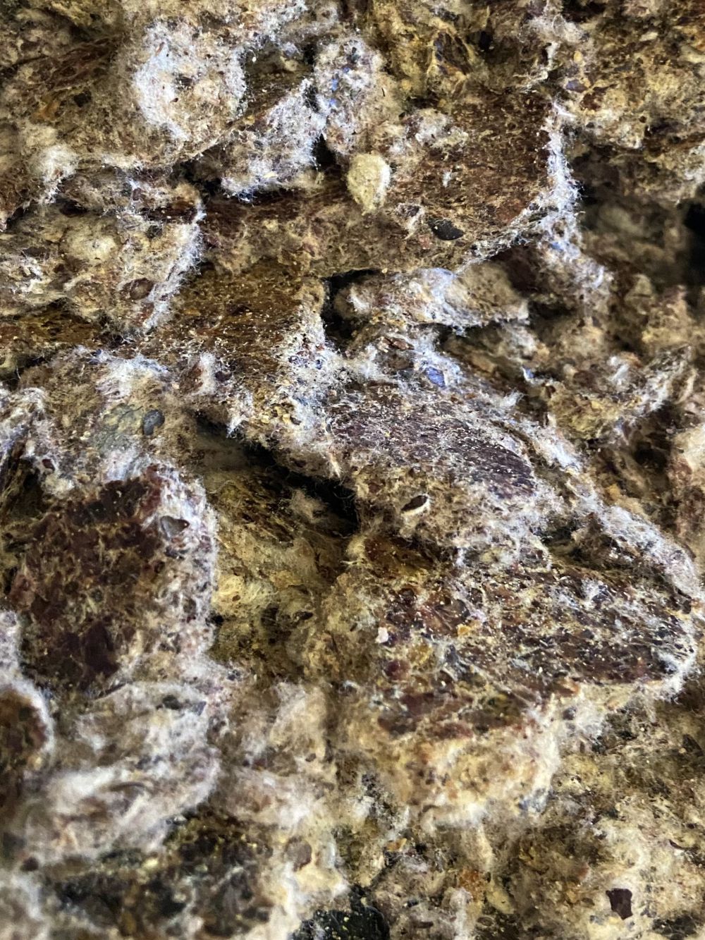 Torta de Algodão Ipê Agro