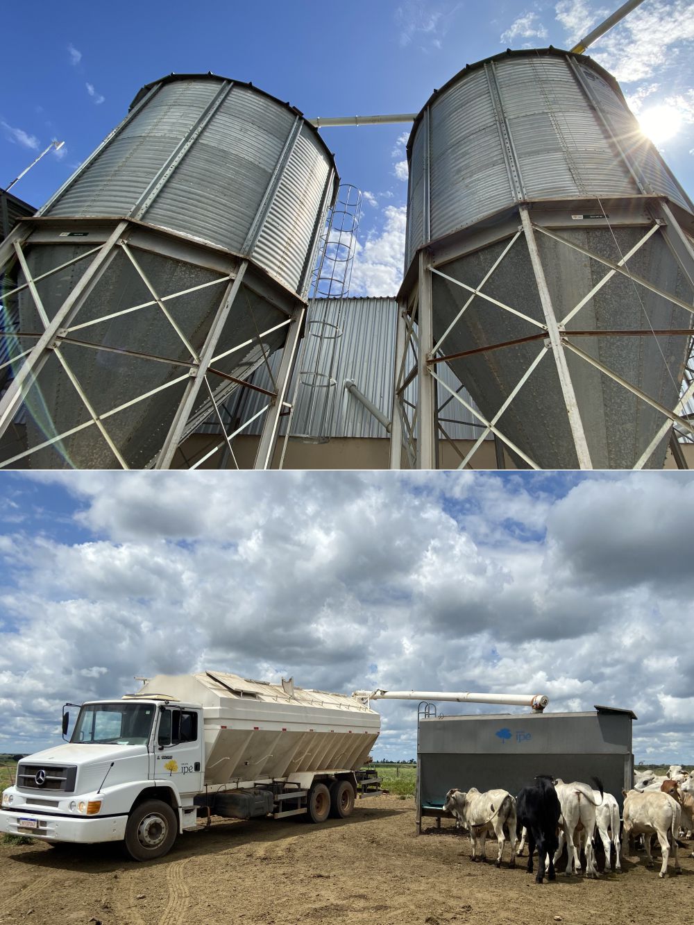 Armazenamento de matéria prima e Silo Cocho