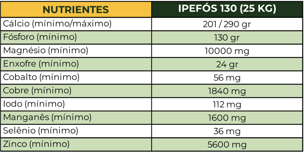 bovinos de corte